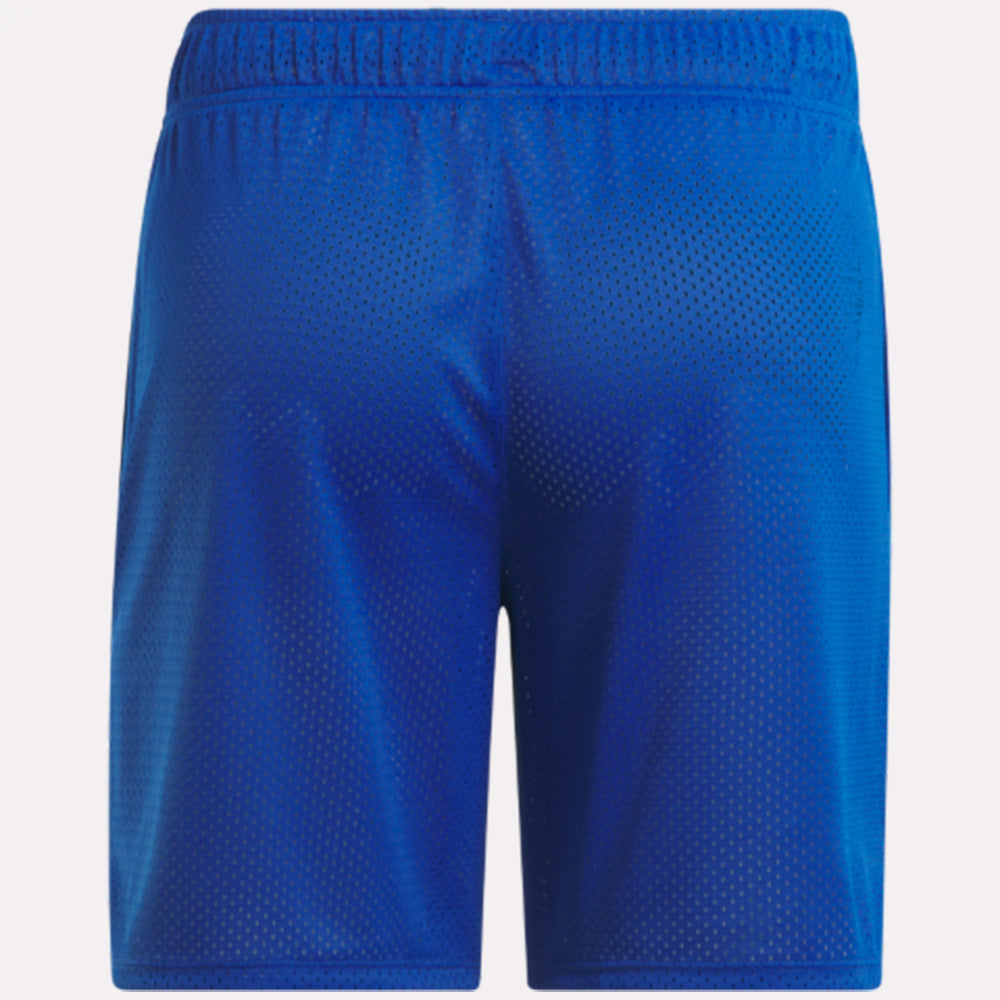 Basketball Mesh Men's Shorts