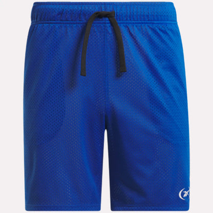 Basketball Mesh Men's Shorts