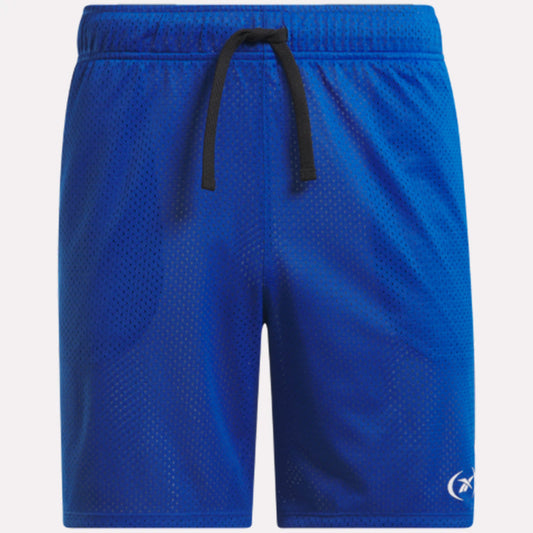 Basketball Mesh Men's Shorts