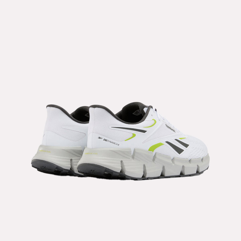 Zig Dynamica 6 Men's Shoes