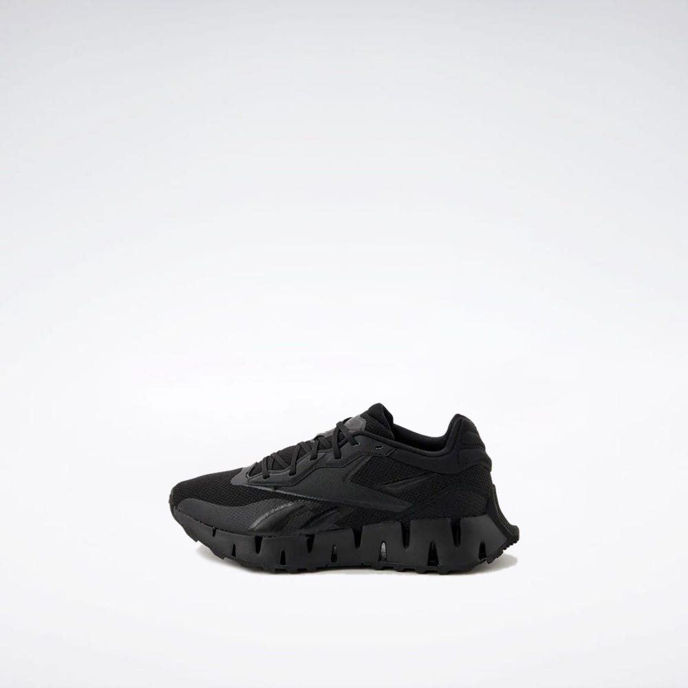 Zig Dynamica 4 Adventure Running Unisex Shoes
