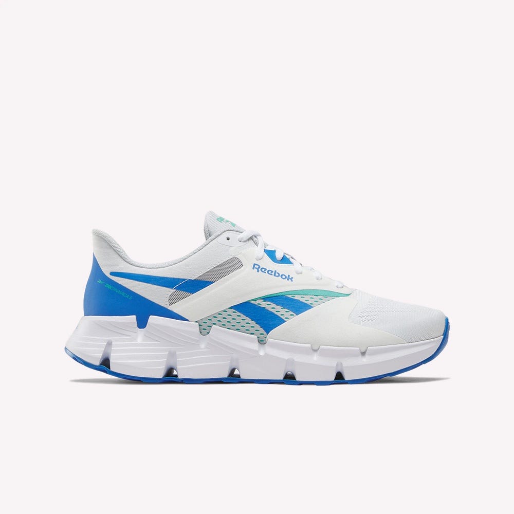 Zig Dynamica 5 Unisex Running Shoes