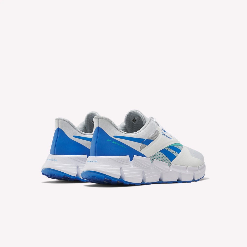Zig Dynamica 5 Unisex Running Shoes