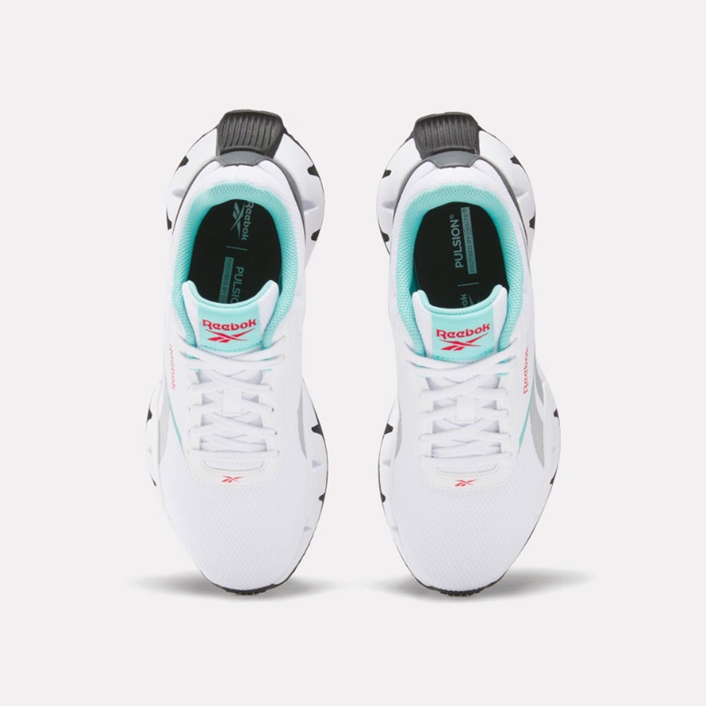 Zig Dynamica STR Women's Shoes 
