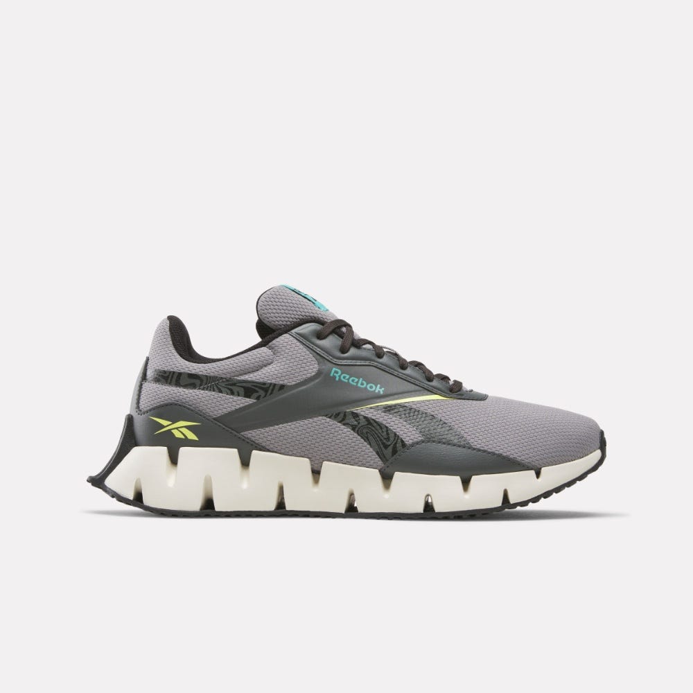 Zig Dynamica STR Unisex Shoes 