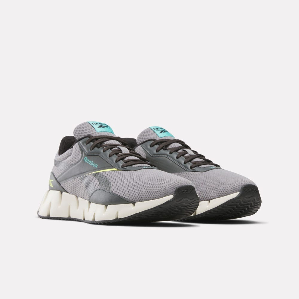 Zig Dynamica STR Unisex Shoes 