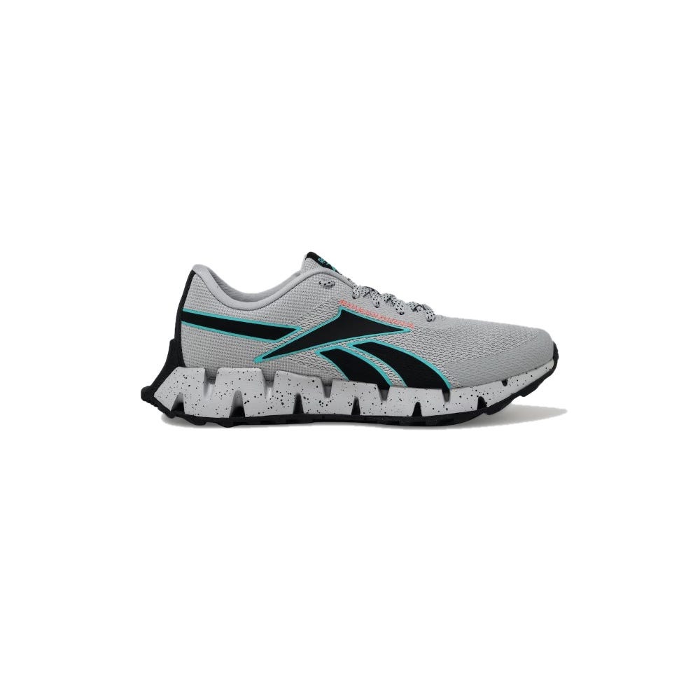 Reebok Running Zig Dynamica 2 Adventure Men's Shoes
