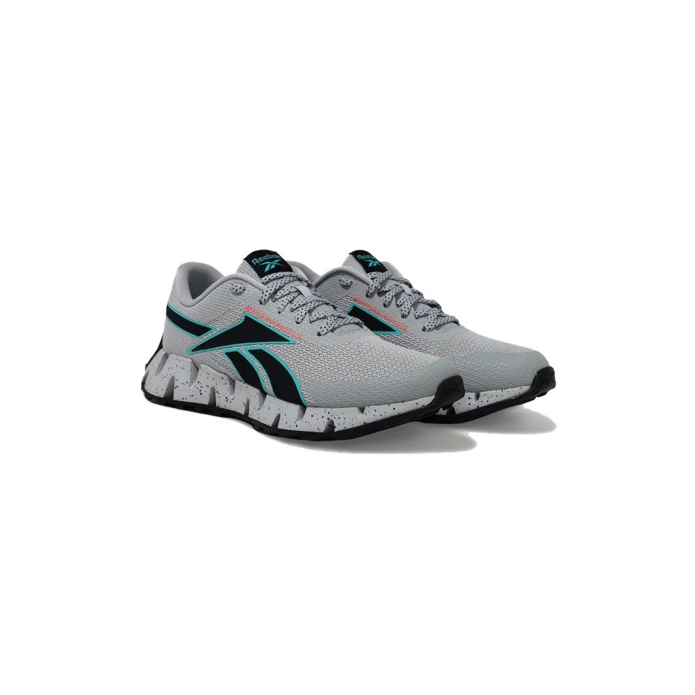 Reebok Running Zig Dynamica 2 Adventure Men's Shoes