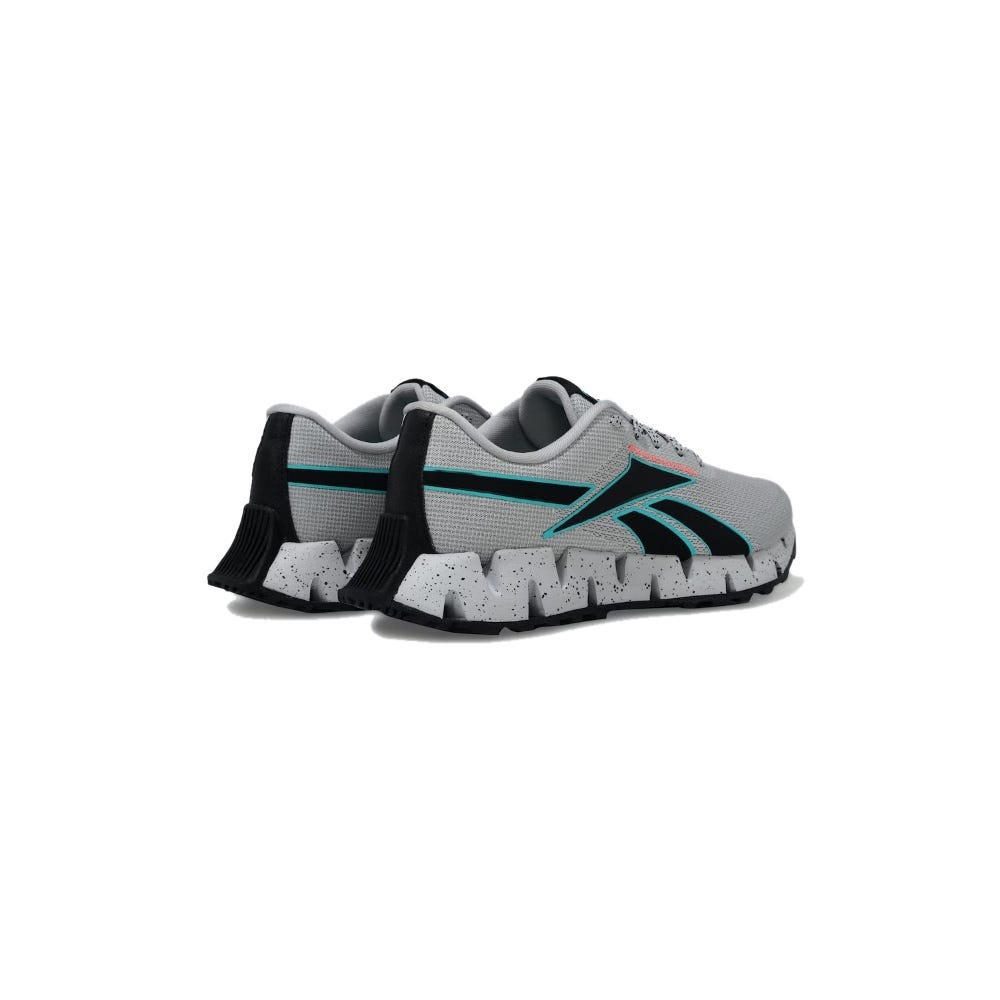 Reebok Running Zig Dynamica 2 Adventure Men's Shoes
