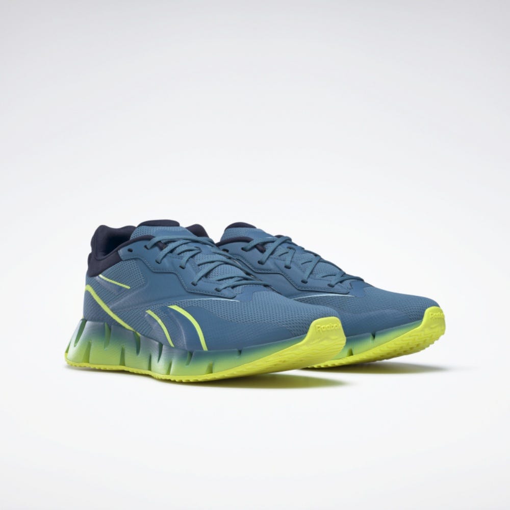 Zig Dynamica 4 Unisex Shoes