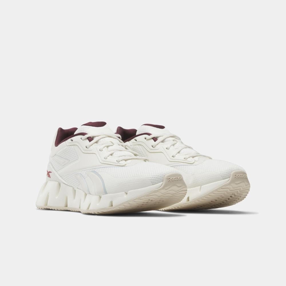 Zig Dynamica 4 Women's Shoes