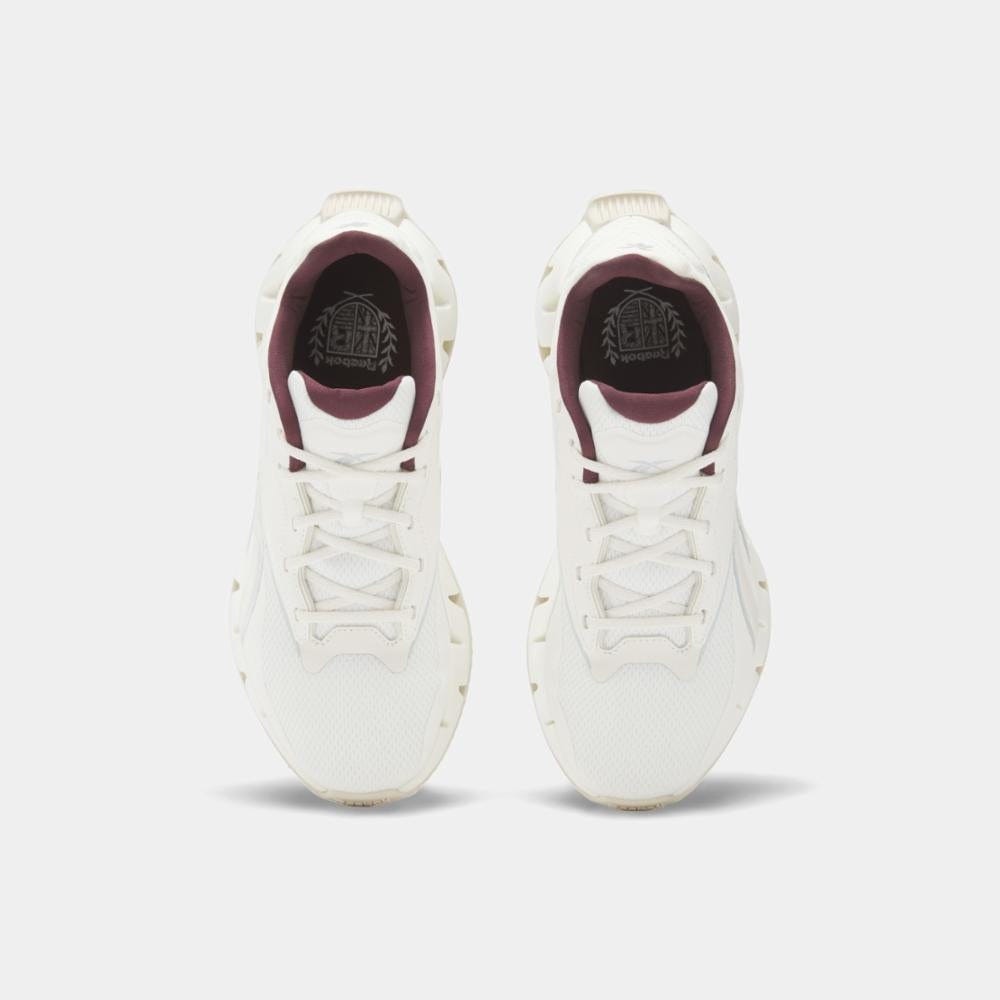 Zig Dynamica 4 Women's Shoes