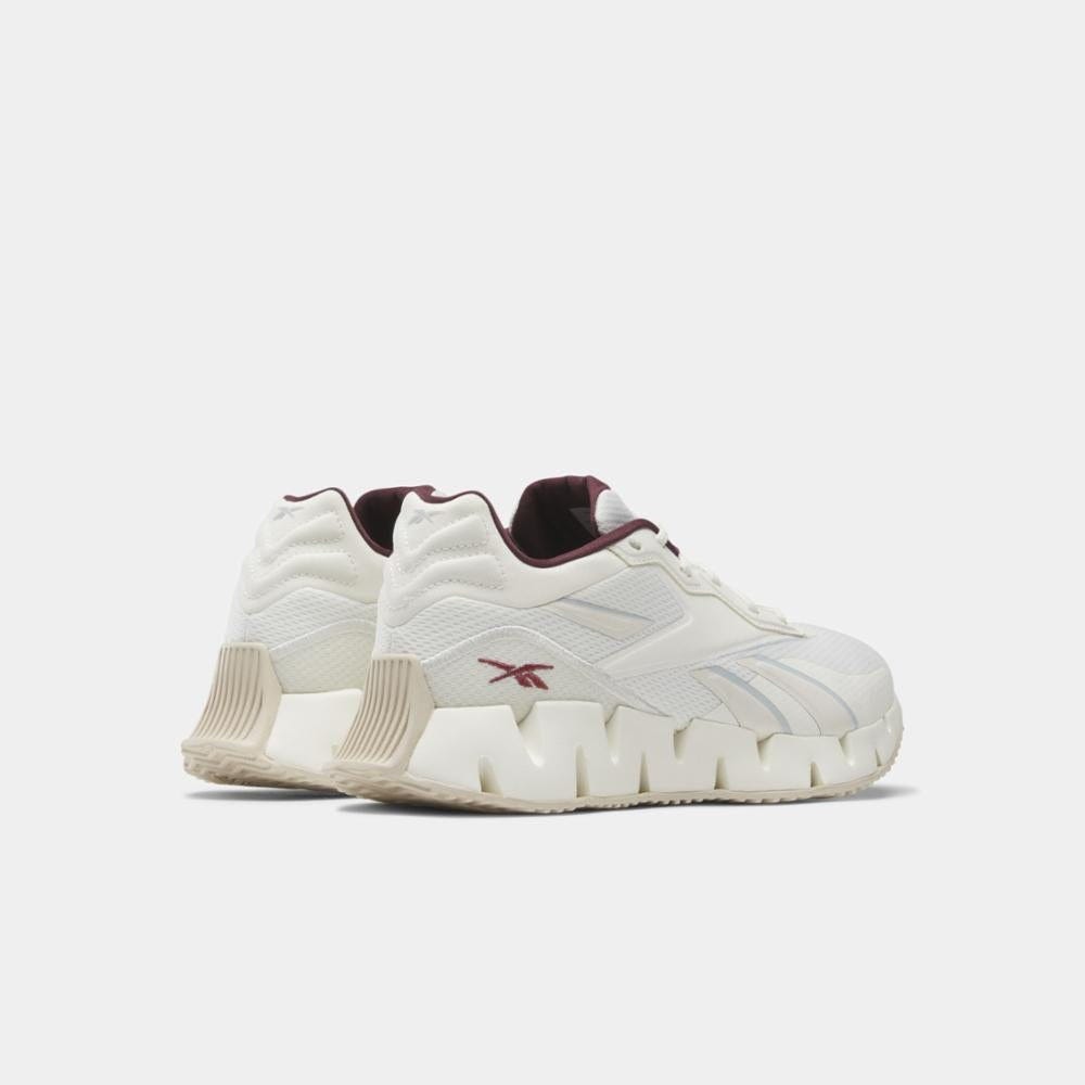 Zig Dynamica 4 Women's Shoes